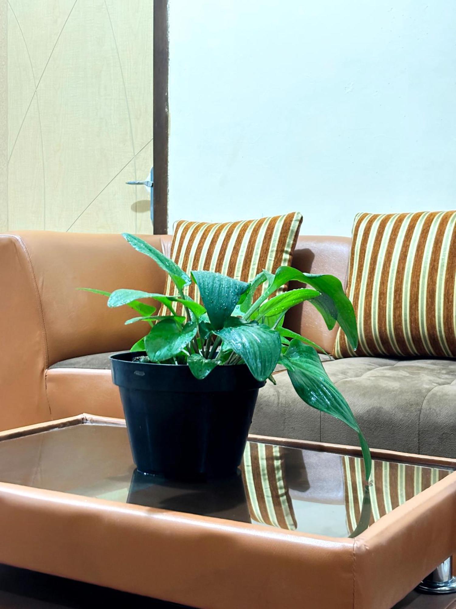 Jogja Day Inn Джокякарта Екстериор снимка